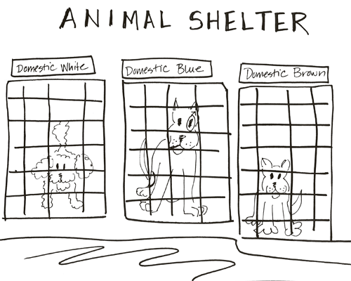 Dogs at Animal Shelter