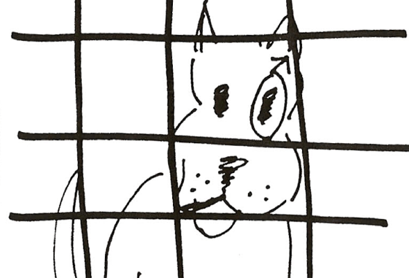 Shelter Dog Reminded them of a Planet