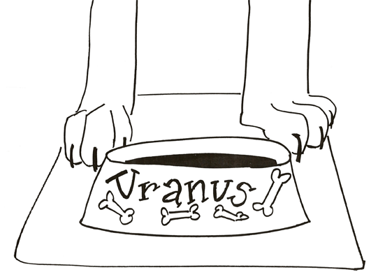 A dog named Uranus